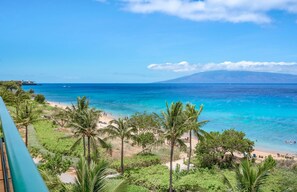 A beach with clear blue water, palm trees, and a mountain in the background.