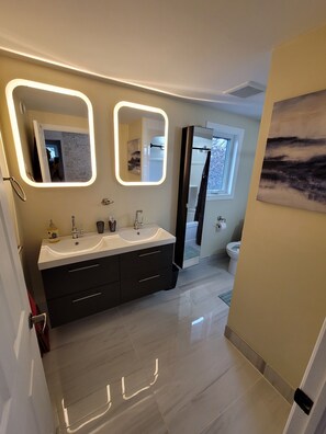 Combined shower/bathtub, hair dryer, towels, toilet paper