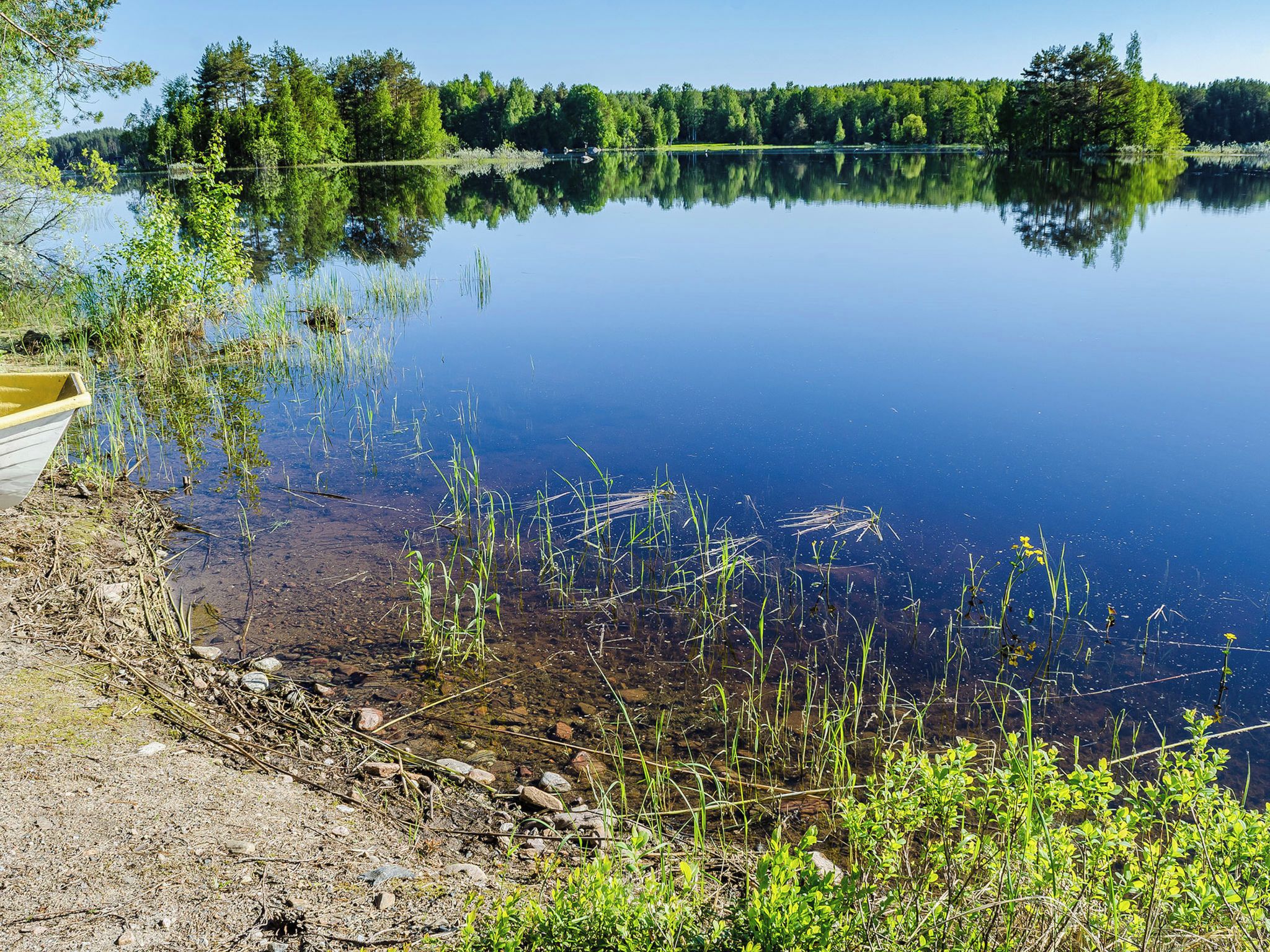A calm lake with clear reflections, surrounded by dense forest and a dock on the left.
