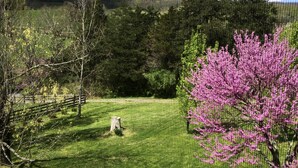 En græsmark med et træstakhegn, et blomstrende træ med lyserøde blomster og et bjerg i baggrunden.