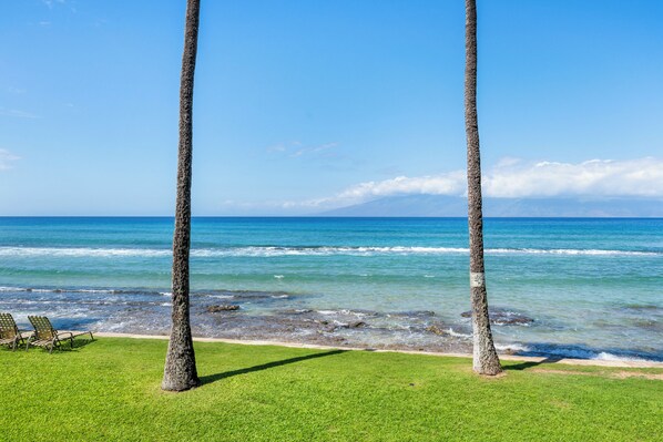 Beach - Spacious 2 Bedroom Ocean Suite - Paki Maui 103 (Lahaina)