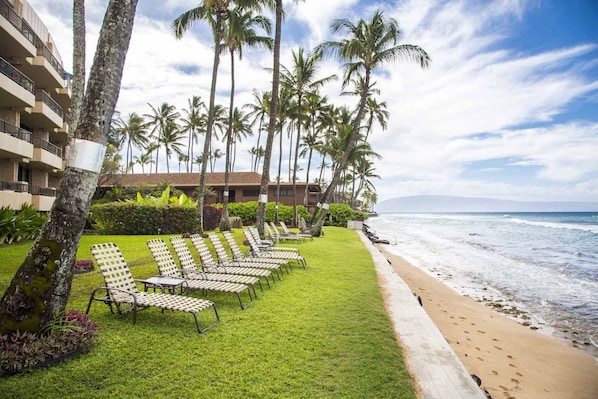 Beach - 1 Bedroom Beachfront Condo - Paki Maui 118 (Lahaina)