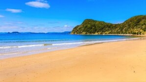 Ein Strand mit klarem, blauem Wasser, sandigem Ufer und einer grünen Hügelkette im Hintergrund.