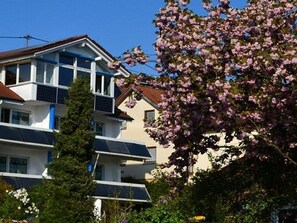 A multi-story residential building with balconies, surrounded by greenery and flowering trees.
