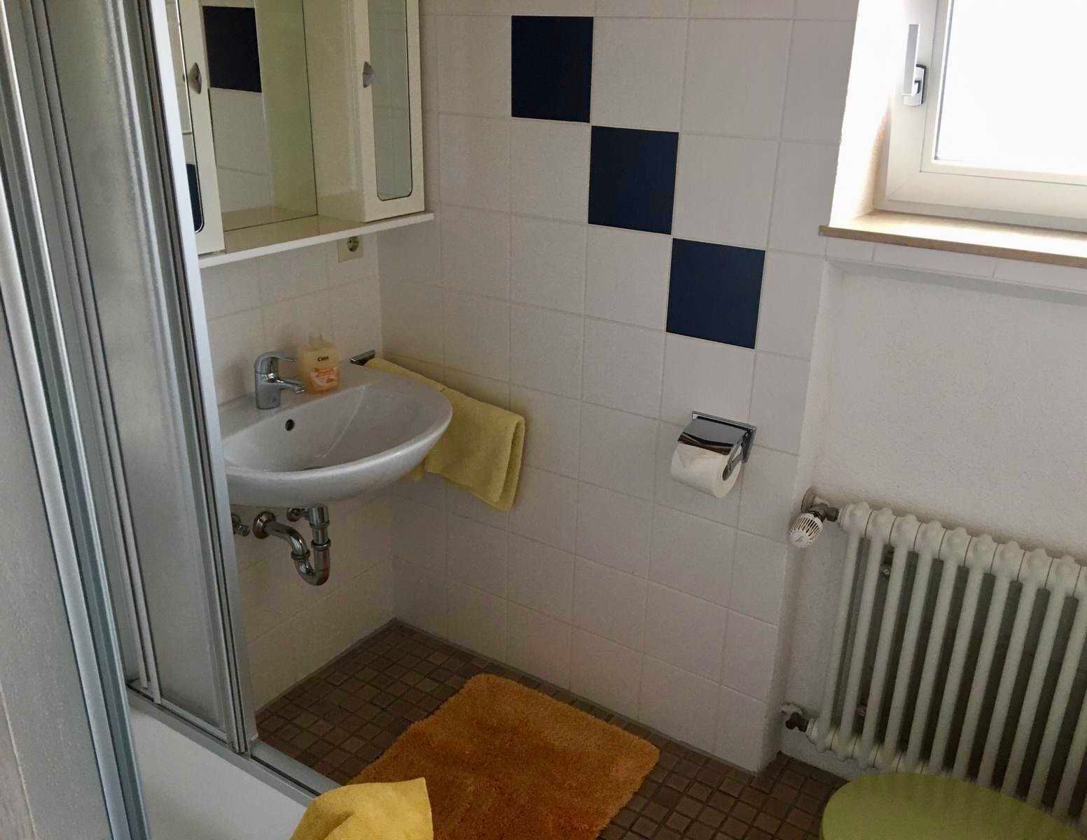 Dusche, Handtücher, Seife, Toilettenpapier