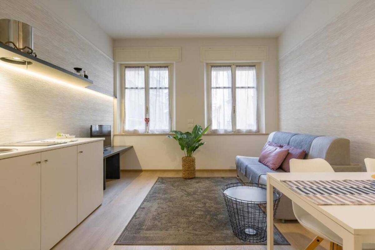 A compact living space with a kitchenette, a sofa, a dining table, and a potted plant.