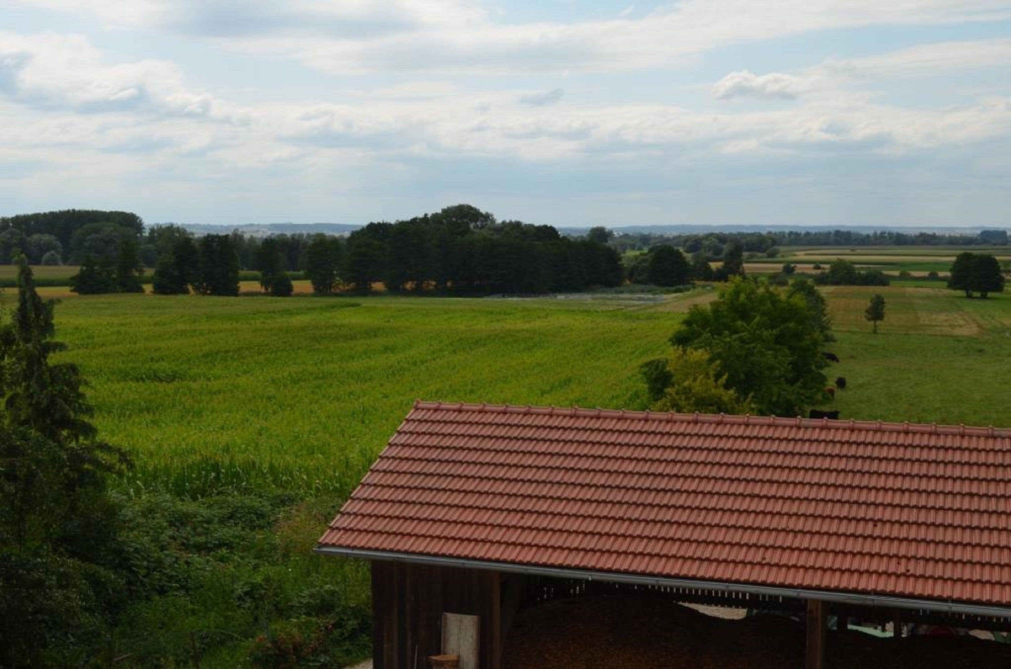 Un paisaje rural con un edificio de techo rojo en primer plano y extensos campos verdes al fondo.
