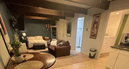 Large Govt hill studio-near downtown