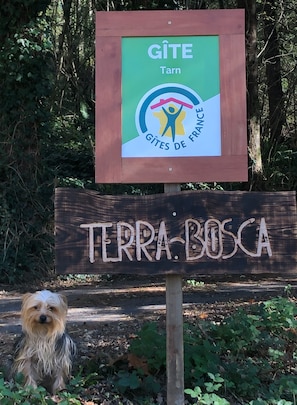 Une enseigne avec les inscriptions « GÎTE Tarn » et « TERRA BOSCA », et un petit chien au premier plan.