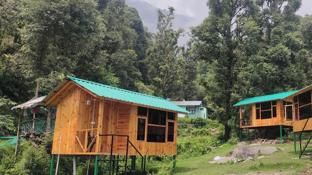 Two wooden cabins with green roofs, elevated on stilts, surrounded by lush greenery and trees. - Wooden cottages (Dharamshala)