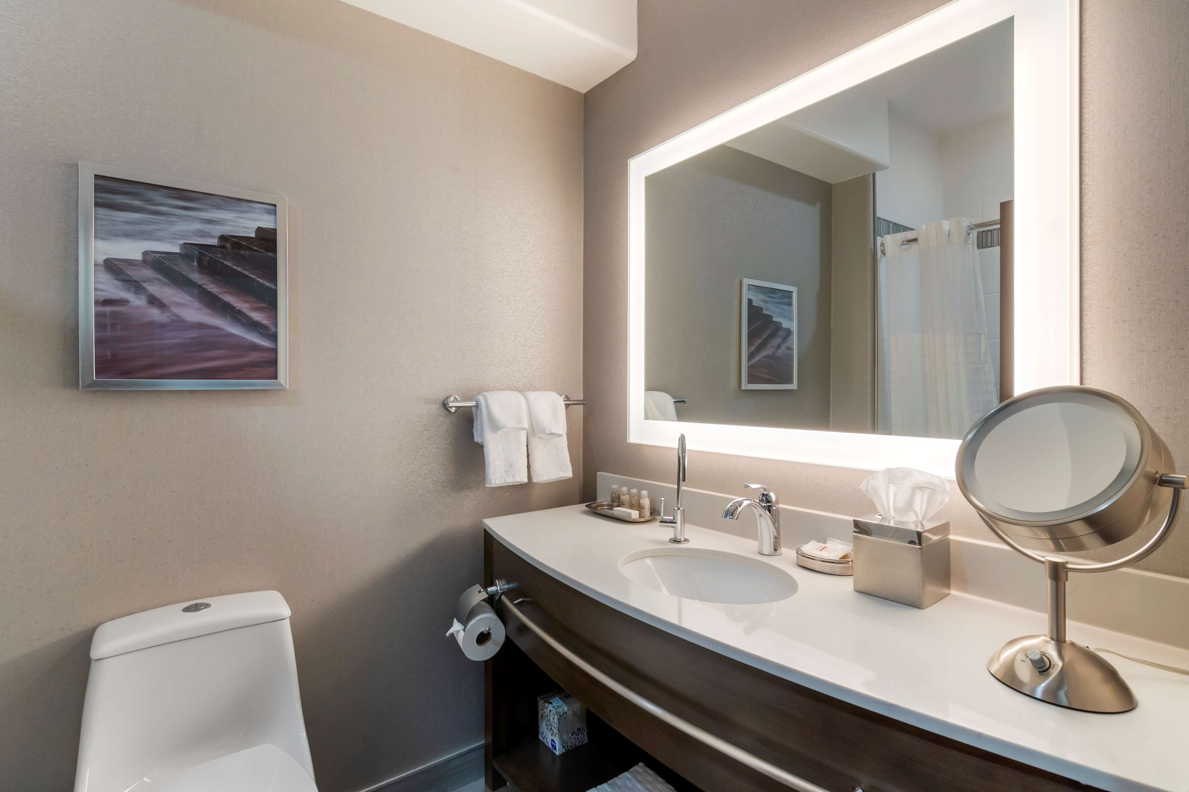 combined shower/bathtub, free toiletries, hair dryer, towels