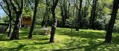 Parco della struttura