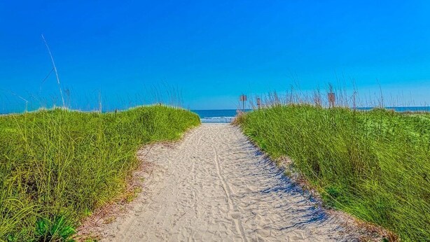 A sandy path leading to the beach, flanked by green vegetation. - Vitamin Sea | Second-Row House | Private Pool (North Myrtle Beach)