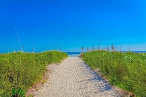 A sandy path leading to the beach, flanked by green vegetation.