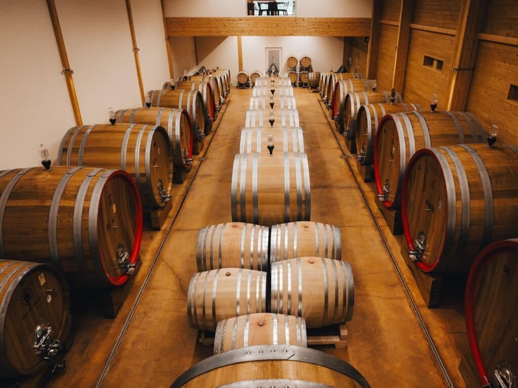 Una bodega con hileras de barriles de madera y una larga mesa en el centro.