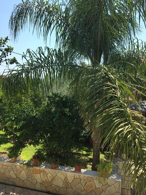 独立别墅 | 住宿场地