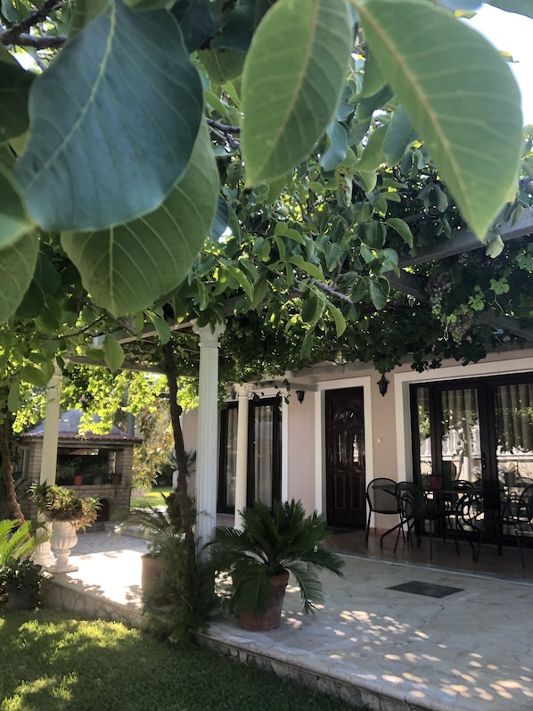 House | Property grounds