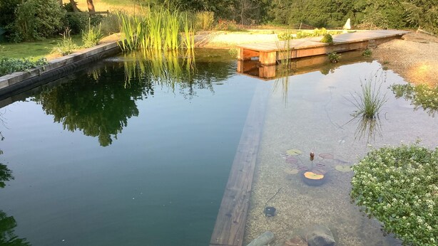 A tranquil pond with a wooden dock and surrounding greenery. - A beautiful Railway Carriage, with stunning views & use of the Ndoro Pool. (Chippenham)