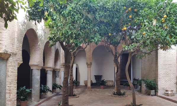 Un patio arquitectónico con arcos, plantas en macetas y un árbol con frutos.