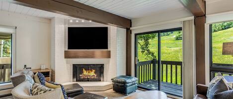 Smart TV, fireplace, DVD player, video library