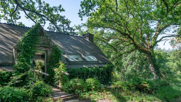Una casa rustica circondata da vegetazione lussureggiante e una scala di legno che conduce all'ingresso.