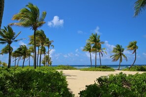 Una spiaggia nelle vicinanze, lettini da mare, teli da spiaggia