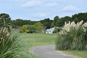 A rural road curving through a grassy field with a white house in the distance.
