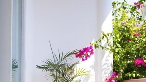 A balcony with a potted plant and a wooden floor. - Villa La Sirena 2 Minutes From Beach 3 Bedroom Villa by RedAwning (Seminyak)