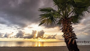 Eine Palme am Strand, im Hintergrund ein Sonnenuntergang.