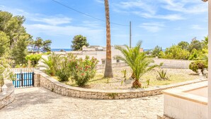 A courtyard with a stone pathway, palm trees, and a blue gate. - Cozy house with pool 1km from sandy beach in Pescoluse (Pescoluse)