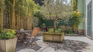 Un patio al aire libre con una mesa y sillas, rodeado de plantas de bambú y un pequeño árbol en una maceta.