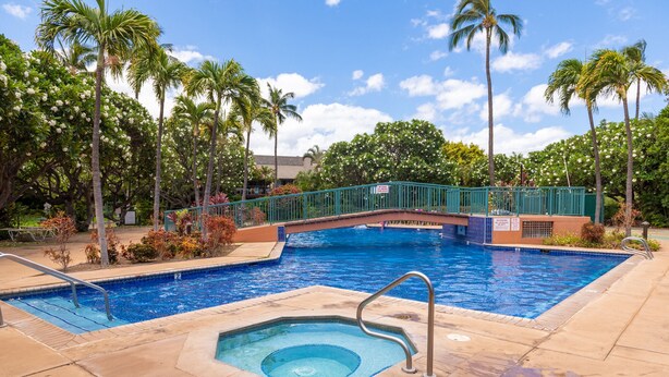 A swimming pool with a bridge, surrounded by palm trees and a clear sky.