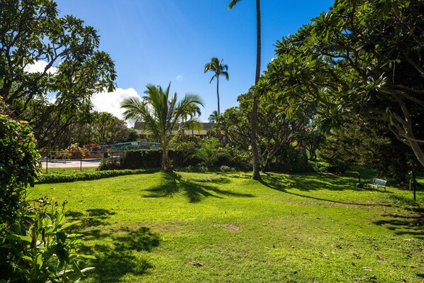 Un parque verde y exuberante con un banco y palmeras.