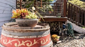 A rustic outdoor setting with a wooden barrel planter containing succulents and a small pot, set against a backdrop of a wooden deck and a white building.