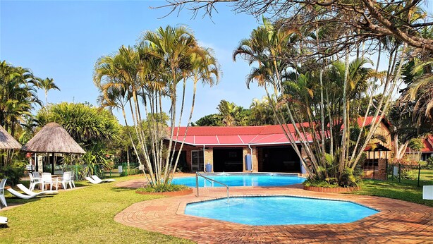 A swimming pool surrounded by a brick pathway, with lounge chairs and a thatched-roof structure.