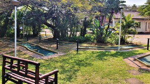 A garden with a wooden bench, a small pool, and various tropical plants.