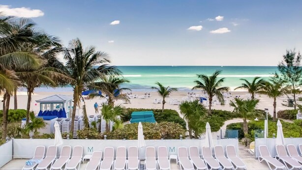A beach view with lounge chairs and palm trees. - Oceanview Apt at Marenas Resort, Sunny Isles Beach with Direct Beach Access!  (Sunny Isles Beach)