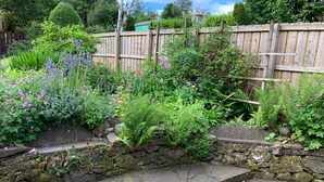 A garden with a stone wall and a wooden fence. - Old Schoolhouse (Aberfeldy)