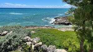A coastal landscape with a clear view of the ocean, rocky shoreline, and lush greenery. - OceanBlue (Inch Marlowe)