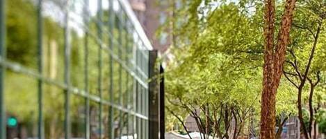 Parco della struttura