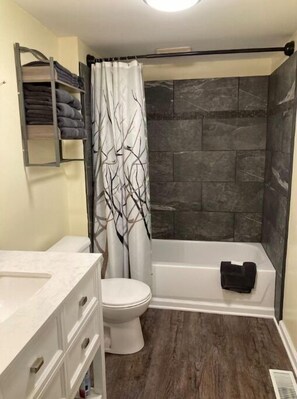 Combined shower/bathtub, hair dryer, towels, toilet paper