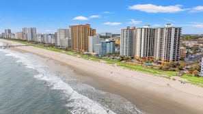 On the beach - Pet Friendly Patricia Grand Resort 906-1BR Condo with Gorgeous Oceanfront Views (Myrtle Beach)