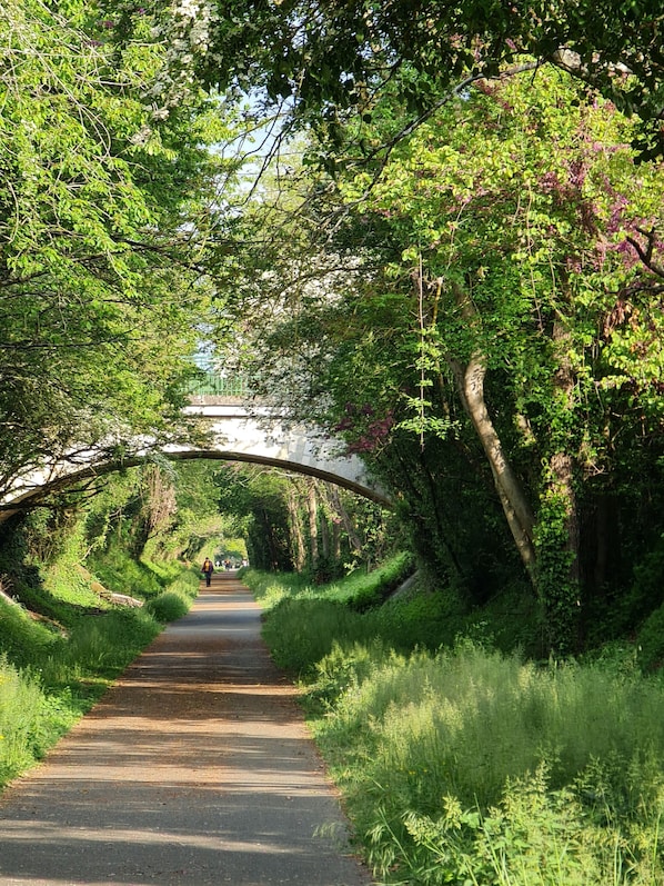 A pathway under a bridge surrounded by lush greenery.