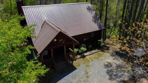 Una cabaña de techo inclinado, rodeada de un bosque denso.