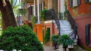 Une rangée de maisons de ville en briques, dotées d’un escalier central, et entourées d’une végétation luxuriante et de plantes en fleurs.
