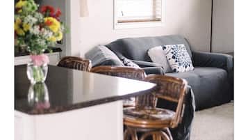 電視、DVD 播放機