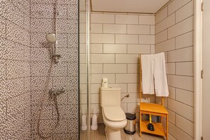 Regadera, secadora de cabello, bidet, toallas 