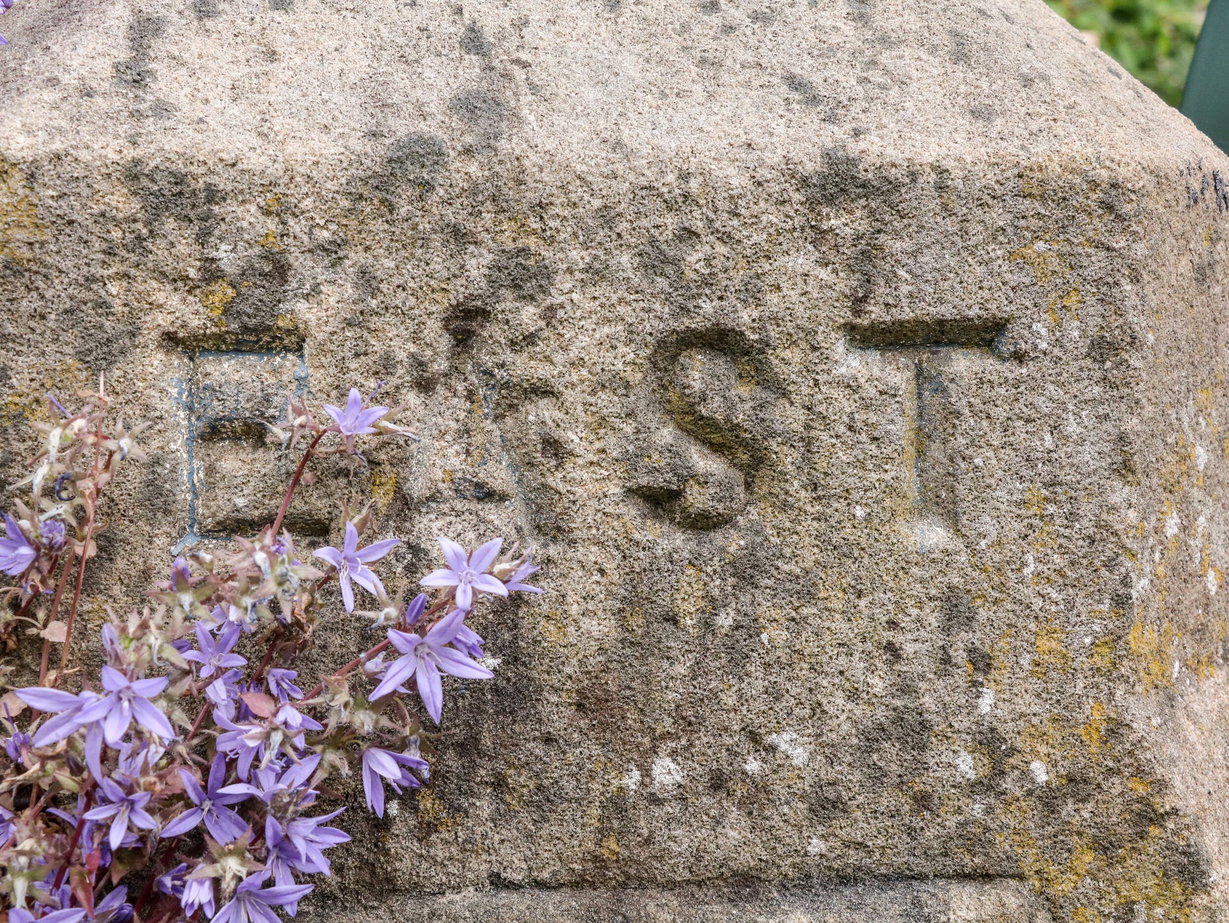 A stone monument with the word "EAST" carved on it, surrounded by some purple flowers.