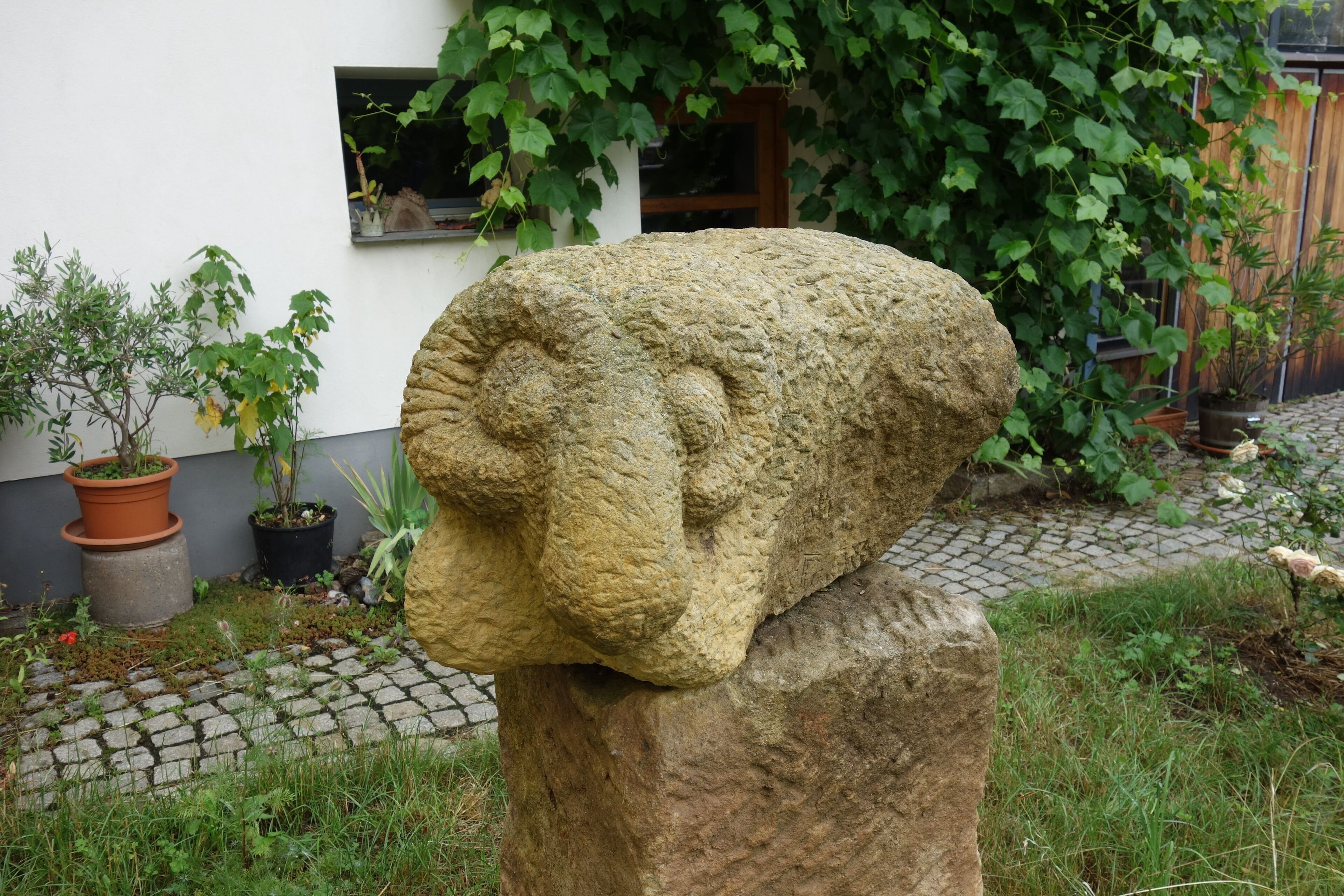 Détail de l’extérieur