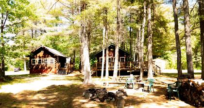 Moose's Lair 1 Bed/1 Bath Charming Rustic Log Cabin